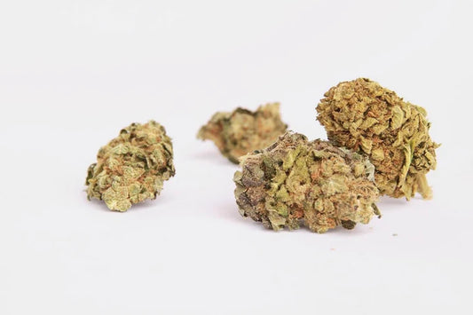 Melonade Strain CBD Bud