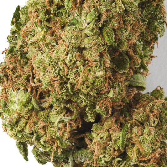 Lemon Haze UK Strain CBD Indoor Popcorn Buds