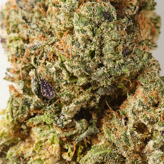 Purple Haze CBD Tea Flower