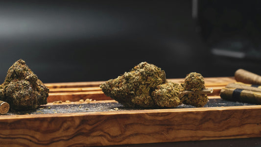 Can CBD Help with Diabetes? What Research Tells Us