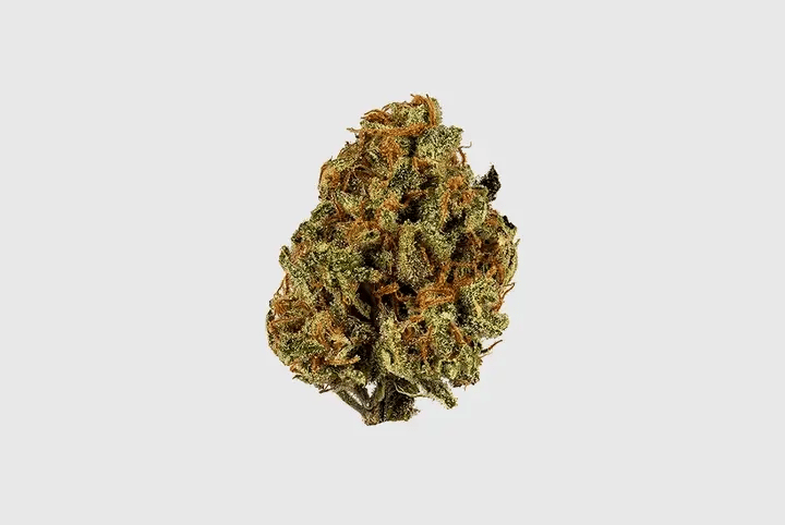 CBD Flower