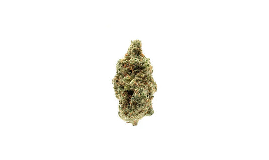 Biscotti Strain CBD Flower