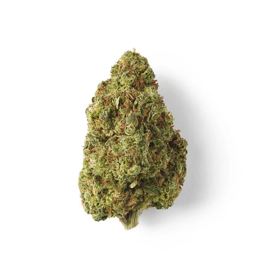 Gelato Strain CBD Flower