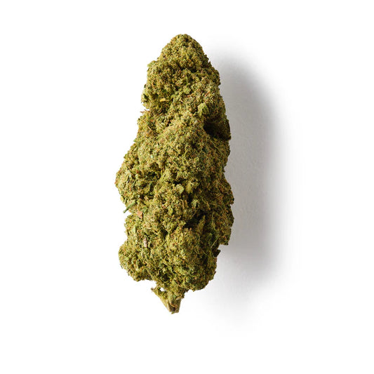Raspberry Haze Greenhouse CBD Popcorn Buds