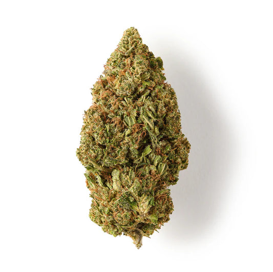 Rolex OG CBD Bud