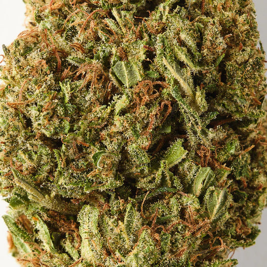 Gelato Strain CBD Flower