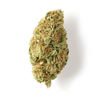 White Widow Greenhouse CBD Popcorn Buds