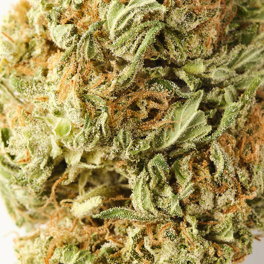 White Widow Greenhouse CBD Popcorn Buds