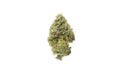 Gelato Strain CBD Flower