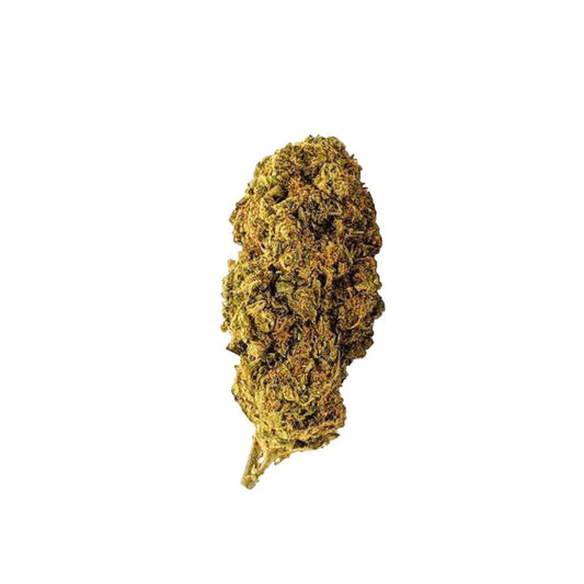 Outdoor Diesel CBD Flower – 15% CBD | Bold Flavour, Natural Calm