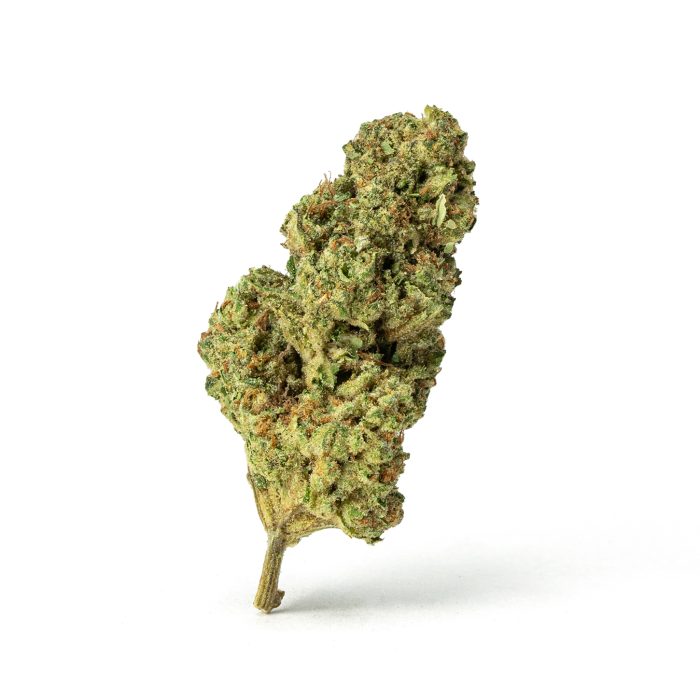 Great White Shark CBD Flower – 14% CBD | Uplifting Sativa Hybrid