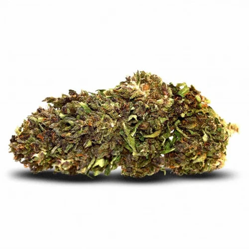 Northern Light CBD Flower – 15% CBD | Outdoor-Grown Indica Dominant