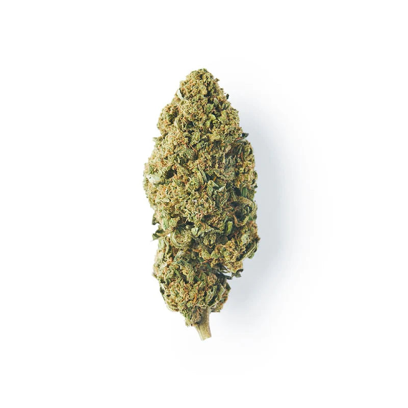 Papaya CBD Flower – Sweet, Uplifting & Legal | High CBD